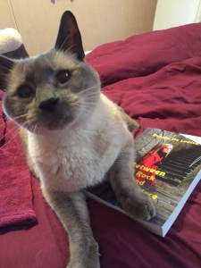 oliverwithbetweenarockandahardplace