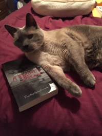 2015-11-11 17.08.05-1