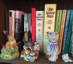 catcollecting4edited