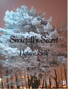 snowfalls-secret-1